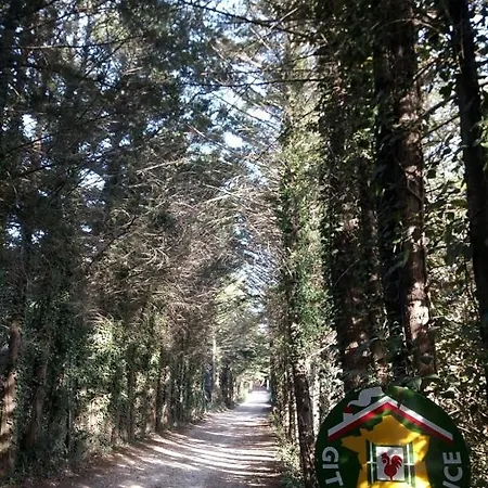 La Bayorre * Hyères